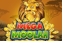 Mega Moolah slot